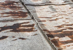 fuite-toiture-copropriete-responsabilite